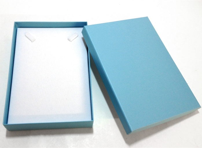 Robin Blue Necklace Box - Case of 20